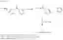 Fig. 06 - METHODS AND MATERIALS FOR BIOLOGICAL IMMOBILIZATION IN MICROFLUIDICS