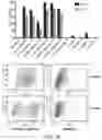 Fig. 08 - Targeted RNA editing by leveraging endogenous ADAR using engineered RNAs