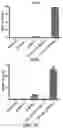 Fig. 10 - Targeted RNA editing by leveraging endogenous ADAR using engineered RNAs