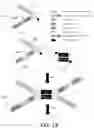 Fig. 02 - LIBRARIES FOR NEXT GENERATION SEQUENCING