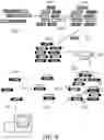 Fig. 15 - LIBRARIES FOR NEXT GENERATION SEQUENCING