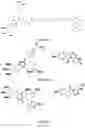 Fig. 112 - TUNABLE ENDOGENOUS PROTEIN DEGRADATION