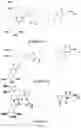 Fig. 114 - TUNABLE ENDOGENOUS PROTEIN DEGRADATION