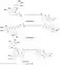 Fig. 120 - TUNABLE ENDOGENOUS PROTEIN DEGRADATION