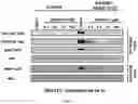 Fig. 16 - TUNABLE ENDOGENOUS PROTEIN DEGRADATION