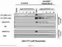 Fig. 17 - TUNABLE ENDOGENOUS PROTEIN DEGRADATION