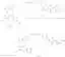 Fig. 220 - TUNABLE ENDOGENOUS PROTEIN DEGRADATION