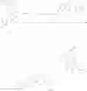 Fig. 226 - TUNABLE ENDOGENOUS PROTEIN DEGRADATION