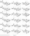 Fig. 28 - TUNABLE ENDOGENOUS PROTEIN DEGRADATION