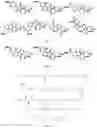 Fig. 34 - TUNABLE ENDOGENOUS PROTEIN DEGRADATION