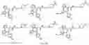 Fig. 38 - TUNABLE ENDOGENOUS PROTEIN DEGRADATION