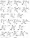 Fig. 40 - TUNABLE ENDOGENOUS PROTEIN DEGRADATION