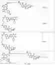 Fig. 46 - TUNABLE ENDOGENOUS PROTEIN DEGRADATION