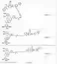Fig. 51 - TUNABLE ENDOGENOUS PROTEIN DEGRADATION