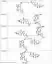 Fig. 54 - TUNABLE ENDOGENOUS PROTEIN DEGRADATION