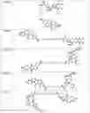 Fig. 58 - TUNABLE ENDOGENOUS PROTEIN DEGRADATION