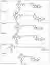 Fig. 60 - TUNABLE ENDOGENOUS PROTEIN DEGRADATION