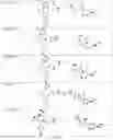 Fig. 61 - TUNABLE ENDOGENOUS PROTEIN DEGRADATION