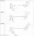 Fig. 74 - TUNABLE ENDOGENOUS PROTEIN DEGRADATION