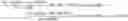Fig. 02 - PLANT DNA METHYLTRANSFERASES AND USES THEREOF