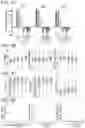 Fig. 05 - PLANT DNA METHYLTRANSFERASES AND USES THEREOF