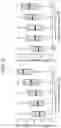 Fig. 14 - PLANT DNA METHYLTRANSFERASES AND USES THEREOF