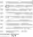Fig. 25 - CRISPR/CAS-RELATED METHODS AND COMPOSITIONS FOR TREATING USHER SYNDROME AND RETINITIS PIGMENTOSA
