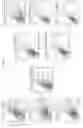 Fig. 04 - CORE MASTER REGULATORS OF GLIOBLASTOMA STEM CELLS