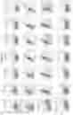Fig. 10 - CORE MASTER REGULATORS OF GLIOBLASTOMA STEM CELLS