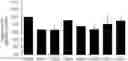 Fig. 01 - OPTIMAL PS MODIFICATION PATTERN FOR HETERONUCLEIC ACIDS