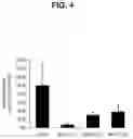 Fig. 05 - OPTIMAL PS MODIFICATION PATTERN FOR HETERONUCLEIC ACIDS