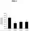 Fig. 07 - OPTIMAL PS MODIFICATION PATTERN FOR HETERONUCLEIC ACIDS