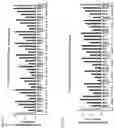 Fig. 04 - NUCLEIC ACIDS FOR INHIBITING EXPRESSION OF PROS1 IN A CELL