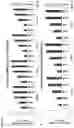 Fig. 23 - NUCLEIC ACIDS FOR INHIBITING EXPRESSION OF PROS1 IN A CELL