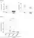 Fig. 25 - NUCLEIC ACIDS FOR INHIBITING EXPRESSION OF PROS1 IN A CELL