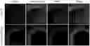 Fig. 01 - TARGETING SENESCENT CELLS
