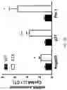 Fig. 07 - TARGETING SENESCENT CELLS