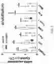 Fig. 08 - TARGETING SENESCENT CELLS