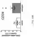Fig. 15 - TARGETING SENESCENT CELLS