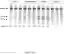 Fig. 10 - CRISPR-CAS COMPONENT SYSTEMS, METHODS AND COMPOSITIONS FOR SEQUENCE MANIPULATION