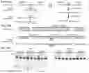 Fig. 107 - CRISPR-CAS COMPONENT SYSTEMS, METHODS AND COMPOSITIONS FOR SEQUENCE MANIPULATION