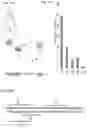 Fig. 116 - CRISPR-CAS COMPONENT SYSTEMS, METHODS AND COMPOSITIONS FOR SEQUENCE MANIPULATION