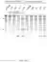Fig. 30 - CRISPR-CAS COMPONENT SYSTEMS, METHODS AND COMPOSITIONS FOR SEQUENCE MANIPULATION