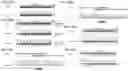 Fig. 41 - CRISPR-CAS COMPONENT SYSTEMS, METHODS AND COMPOSITIONS FOR SEQUENCE MANIPULATION