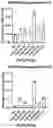 Fig. 12 - Phage-derived particles for in situ delivery of DNA payload into population