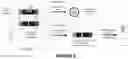 Fig. 05 - recombinant phages, method of production and uses thereof