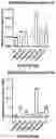Fig. 11 - recombinant phages, method of production and uses thereof