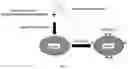 Fig. 04 - Construction of fully human antibody yeast display technique