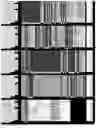 Fig. 05 - Construction of fully human antibody yeast display technique