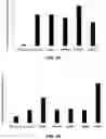 Fig. 06 - Methods of sugarcane transformation using morphogenes